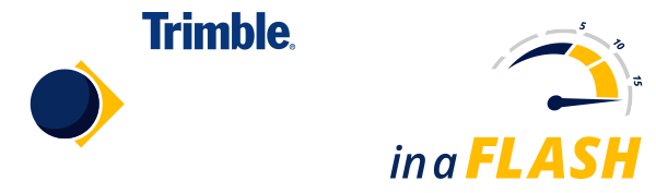 ProjectSight In A Flash Logo
